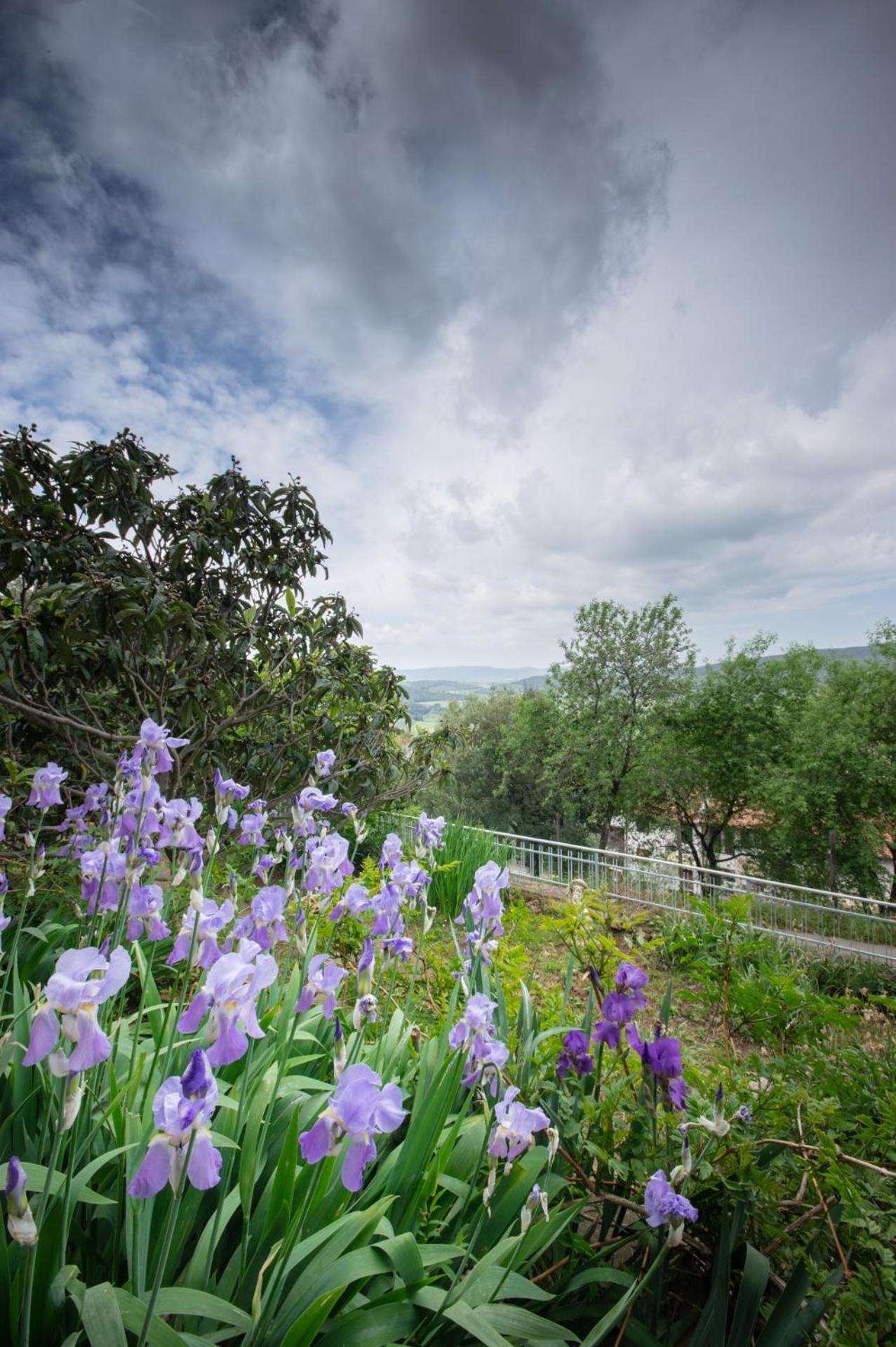 Villa Panoramica Garden Bike Massa Marittima Exterior photo